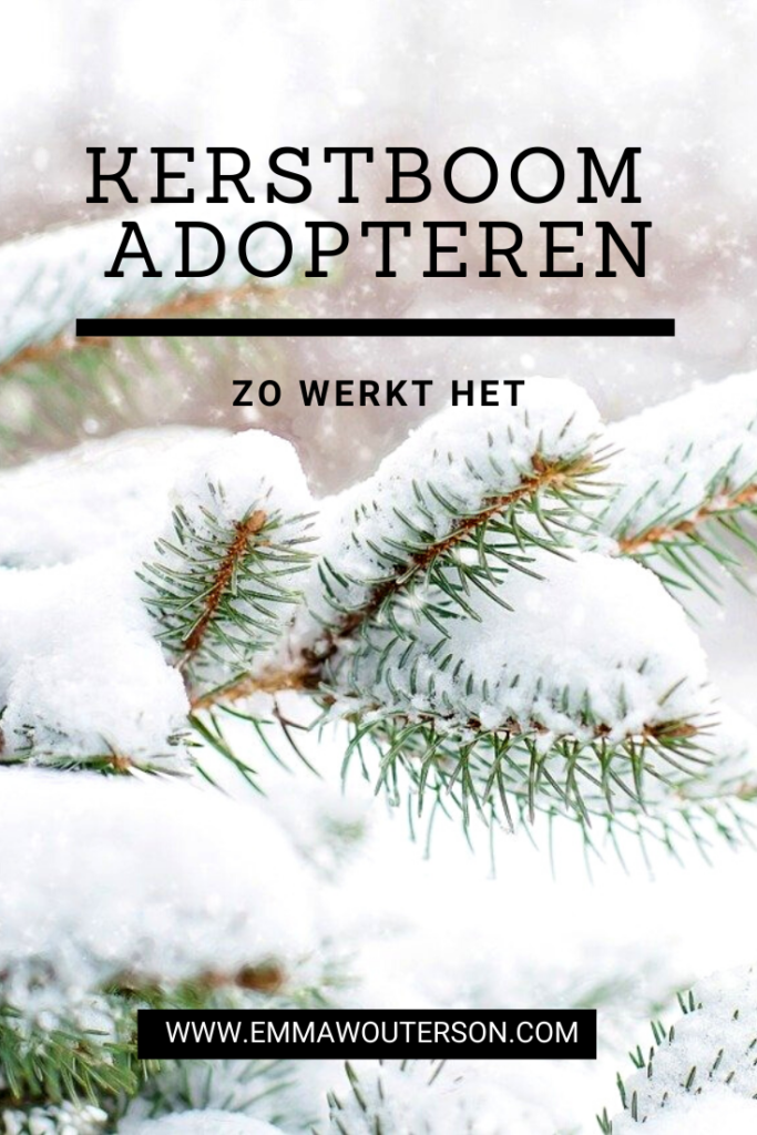 Een kerstboom adopteren | Hoe werkt het? | Duurzame Kerst | www.emmawouterson.com | Emma Wouterson
