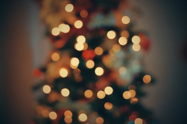Duurzame Kerst | Milieu Vriendelijk | Kerstboom adopteren | www.emmawouterson.com | Emma Wouterson